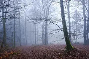 Winterberg, Sauerland, North Rhine-Westphalia