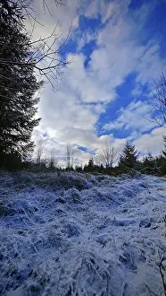 Framed Print : Wintery forest landscape with snow-covered ground and bright blue sky