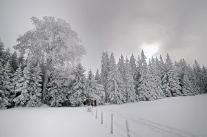 Wintry Blauboden, Mt. Unterberg