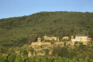 Winzingen Castle and Haardt Castle