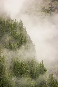 Wisps of mist cover the Karwendel mountains in the Grosser Ahornboden nature reserve