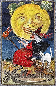 Witch on a broom with a white cat