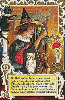 Witch mixing a potion, white owl