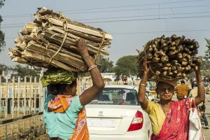 Woman carrying fire wood on head