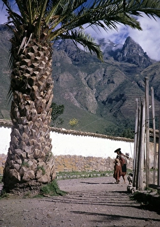 Woman carrying infant and walking past palm tree with child, Calca, Cusco region, Peru, South America, 1962, South America