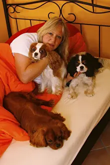 Woman and Cavalier King Charles Spaniel in bed