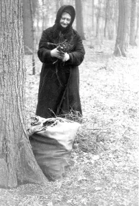 Woman collecting firewood In the forest