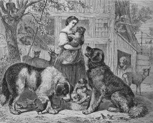 Woman with dogs, animal shelter