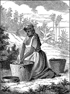 Woman, farmer from Venezuela, Frauen in the 19th century