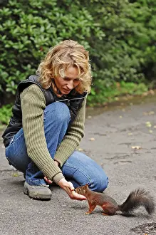 Woman feeding Red Squirrel (Sciurus vulgaris)