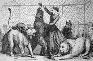Woman feeds a bear amidst lions in the lions cage of Cirque Napoleon