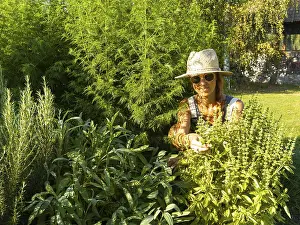 Woman in herb bed, medicinal herbs in garden