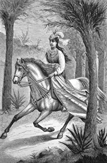 Woman on a horse in Hawaii, distinguished rider