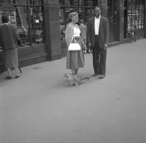 A woman leads her cat on a leash, ca