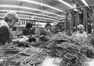 Many woman and a few men work at jobs at Standard Elektrik Lorenz (SEL)