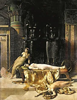 Three woman in an opulent antique room