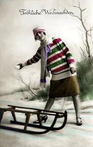 Woman with sled, snow, Froehliche Weihnachten in writing