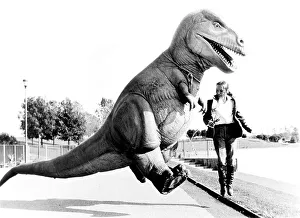 Woman strolling with Dino, England, Great Britain