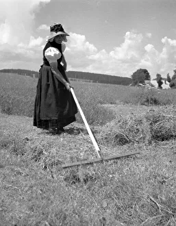 Woman turning back mown grass, around 1950