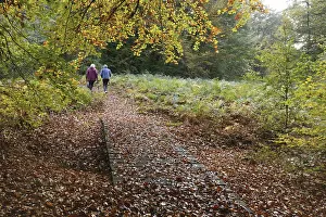 Two woman walking in the forest, Germany