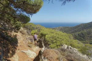 Woman walking on the hiking trail from Avlona to Diafani through pine forests with a view of the sea