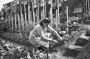 Woman working in the garden in the middle of the city