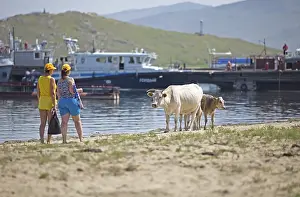 Women and cattle on the beach of Bazarnaya Bay