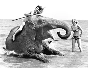 Women doing elephant washing, England