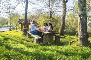 Three women enjoying a picnic lunch and drinks on a sunny day in a forest park