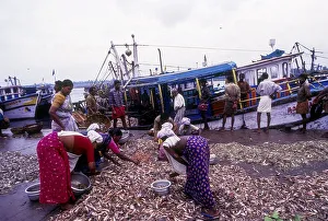 Women sorting fishes in Neendakara