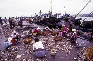 Women sorting fishes in Neendakara