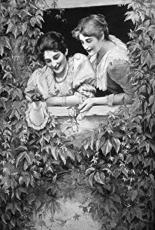Two women in a window surrounded by a bush looking towards the street