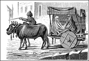 Women's Chariot from the Caucasus
