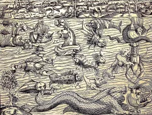 The wonder of the sea and its creatures