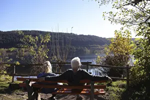 Wonderful autumn day at Lake Titisee (district of Breisgau-Hochschwarzwald)