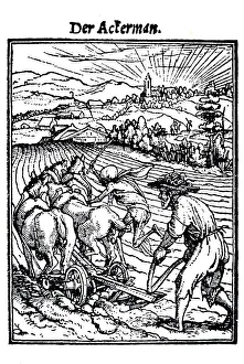 Woodcut, The Farmer, Hans Holbein the Younger
