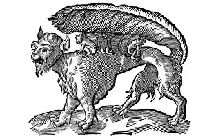 Woodcut, monster with bushy tail