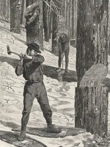 Woodcutter working in the forest in winter