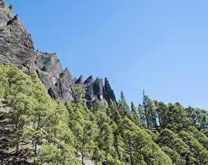 Wooded cliff, Caldera de Taburiente National Park