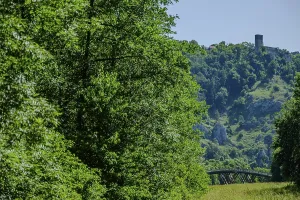 A wooded hill with a castle tower in the background and a bridge in the foreground