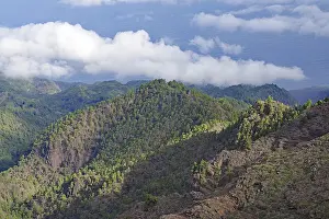 Wooded mountain landscape with clouds in the sky and view of the sea
