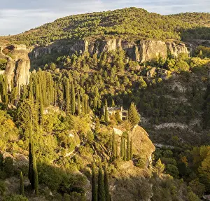 Wooded rocky gorge valley sides with cypress trees