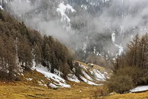 Wooded steep slope with snow remains and alpine huts