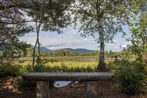 Framed Print : Wooden bench in the forest with a view of the moorland and mountains