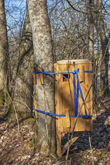 Wooden box as an insect hotel to help rare beetles on a tree in the forest