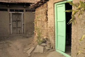 Wooden door of hut with cowdung thatched wall