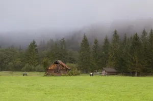 Wooden hut by coniferous forest on green pasture