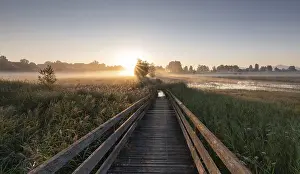 A wooden path leads through a foggy meadow