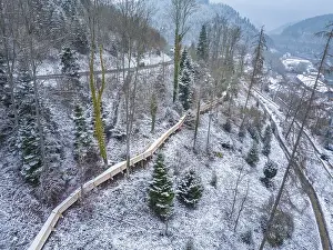 Wooden path through the wintry forest landscape with mountains in the background