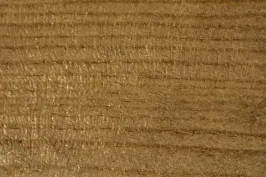 Wooden texture with natural patterns as a background